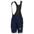 Фото #1 товара ALE PR-S Groupama FDJ 2024 bib shorts