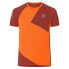 Arancio Bright / Tobacco