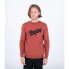 Фото #1 товара HURLEY M Hurler sweatshirt