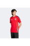 Galler Milli Takım Erkek Kırmızı Futbol Forması