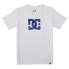 Фото #3 товара DC Shoes Star Fill short sleeve T-shirt