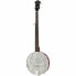 Recording King Dirty 30s Open Back Banjo