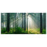 Фото #2 товара Magnettafel Enlightened Forest