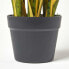 Фото #6 товара Kunstpflanze Sansevieria Trifasciata