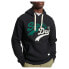 Фото #1 товара SUPERDRY Vintage Vl Interest hoodie