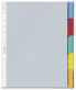 Фото #2 товара Durable 6630 - Blank tab index - Transparent - 250 mm - 302 mm