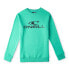 Фото #1 товара O´NEILL N4750003 N4750003 sweatshirt