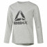 Футболка с длинным рукавом детская Reebok Boys Training Essentials Светло-серый