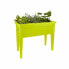 Фото #4 товара Ящик для цветов elho Vegetables Seed tray Lime green 36,5 x 75,5 x 65 cm