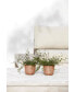 Фото #2 товара Oslo Durable Indoor and Outdoor Planter, 4.5in