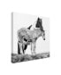 Фото #2 товара PH Burchett Black and White Horses I Canvas Art - 20" x 25"