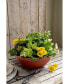 Фото #2 товара Сервировочная миска Akro-Mils Garden Bowl с съемными дренажными пробками, цвет глины, 14 дюймов