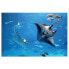 Фото #1 товара Vliestapete Manta Ray