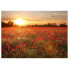 Фото #2 товара Leinwandbild Poppy Field