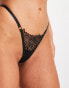 Bluebella Alanna floral embroidered string thong in black