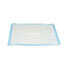 Puppy training pad 60 x 60 cm Blue White Paper Polyethylene (10 Units)