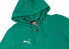 Фото #4 товара Puma Bluza męska Puma Team Goal Casuals Hooded zielona 658595 05 M