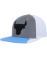 Фото #2 товара Men's Silver, Blue Chicago Bulls Day 5 Snapback Hat