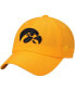 Men's Gold-Tone Iowa Hawkeyes Primary Logo Staple Adjustable Hat