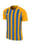 Фото #1 товара Футбольная форма Nike Striped Division Iıı Jsy 894081-740