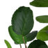 Фото #4 товара Декоративное растение 80 x 77 x 113 cm Зеленый PVC Aralia