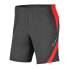 Фото #1 товара Nike Dry Academy Pro Jr BV6946-062 shorts