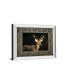 Фото #2 товара White Tail Buck by Tony Campbell Double Matted Mirror Framed Print Wall Art - 34" x 40"