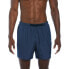 Фото #2 товара NIKE SWIM 5´´ Volley Voyage Swimming Shorts