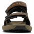 Фото #7 товара COLUMBIA Trailstorm™ Hiker 3 sandals