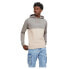 JACK & JONES Eryder Blocking hoodie