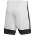 Adidas Tastigo 19 Shorts M DP3247 shorts