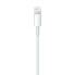 Фото #4 товара Apple Lightning to USB Cable - Cable - Digital 0.5 m - 4-pole