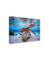 Фото #2 товара Barathieu Gabriel Dancing Octopus Canvas Art - 15" x 20"