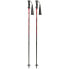 MASTERS Rental Carbon poles