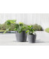 Фото #3 товара Eco pots Amsterdam Modern Round Planter with Water Reservoir, 8in