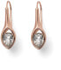 Stylish earrings with crystals Breath 22841RG