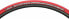 Vittoria Zaffiro Pro Home Trainer Tire: Folding Clincher, 700x23, Red