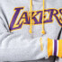 Фото #3 товара Mitchell & Ness Premium Fleece Lal Pullover Hoodie Mens Grey Casual Outerwear FP
