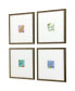 Botanical II Framed Art, Set of 4