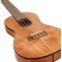 Kala Travel Concert Ukulele