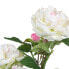 Decorative Plant 34 x 30 x 59 cm Cream Peony