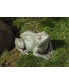 Фото #2 товара Woodland Frog Garden Statue