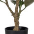 Decorative Plant Polyethylene Iron PEVA Oak 76 cm