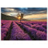 Фото #2 товара Leinwandbild Lavender Fields