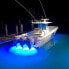 LUMITEC Seablaze X2 White/Blue Led Light