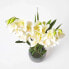 Фото #5 товара Künstliche Orchidee im Zement