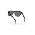 ფოტო #28 პროდუქტის OAKLEY Frogskins Sunglasses