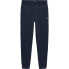 TOMMY JEANS Flag sweat pants