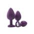 Anal plug Dream Toys Flirts Purple 3 Pieces