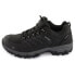 ALPINE PRO Mollau hiking shoes